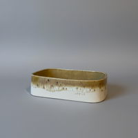Professional studio image of rectangular ovenkom