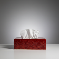 Red tissue holder studio image